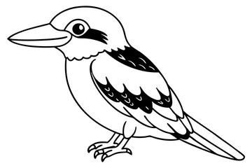 kookaburra line art silhouette vector illustration