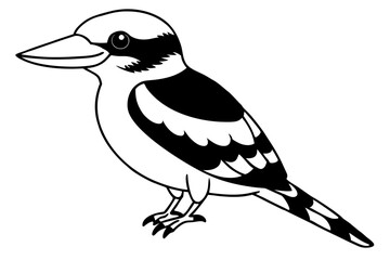 kookaburra line art silhouette vector illustration