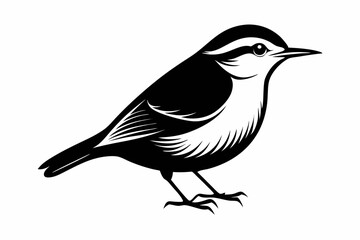 nuthatch bird line art silhouette vector illustration
