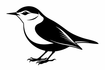 Fototapeta premium nuthatch bird line art silhouette vector illustration