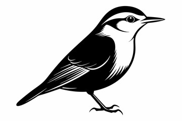 nuthatch bird line art silhouette vector illustration