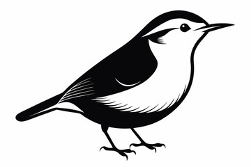 nuthatch bird line art silhouette vector illustration