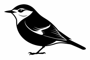 Obraz premium nuthatch bird line art silhouette vector illustration