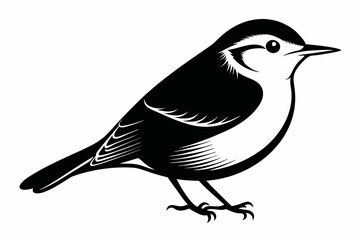 nuthatch bird line art silhouette vector illustration