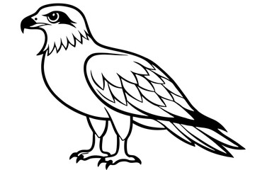 osprey line art silhouette vector illustration