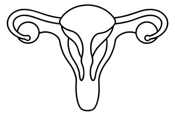 ovarie line art silhouette vector illustration