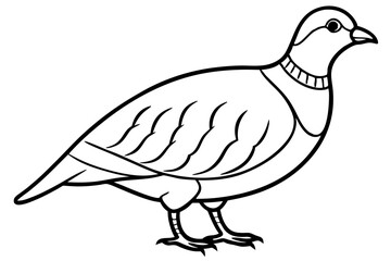 partridge line art silhouette vector illustration