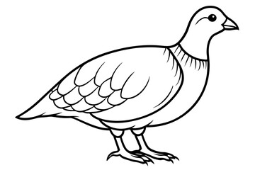 partridge line art silhouette vector illustration
