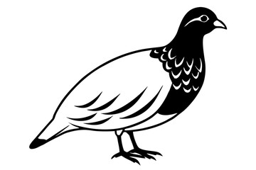 partridge line art silhouette vector illustration