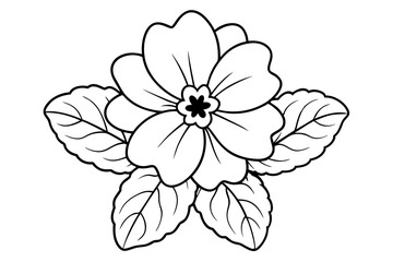 primrose flower line art silhouette vector illustration