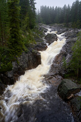Fototapeta premium Rapid Mountain River in Pine Forest, Nesbyen, Norway