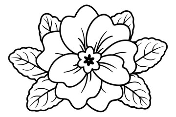 primrose flower line art silhouette vector illustration