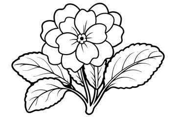 primrose flower line art silhouette vector illustration