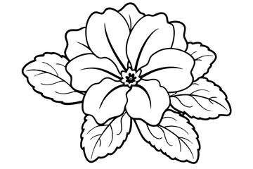 primrose flower line art silhouette vector illustration