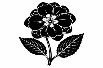 primrose flower line art silhouette vector illustration
