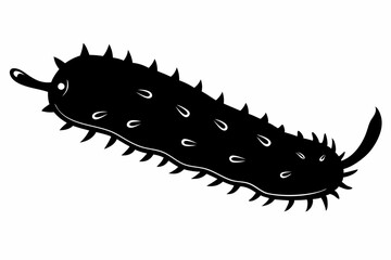 sea cucumber line art silhouette vector illustration