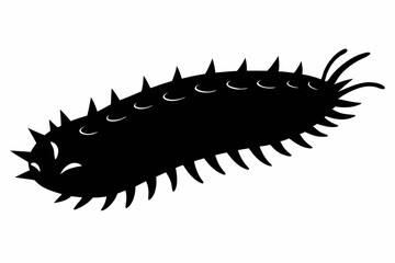 sea cucumber line art silhouette vector illustration