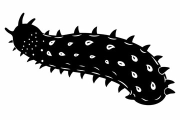 sea cucumber line art silhouette vector illustration