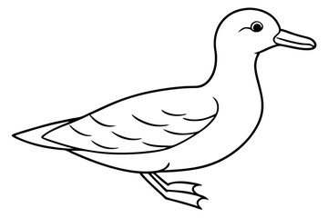 shearwater line art silhouette vector illustration