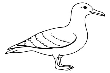 shearwater line art silhouette vector illustration