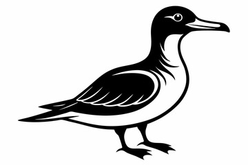 shearwater line art silhouette vector illustration