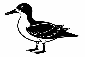 shearwater line art silhouette vector illustration