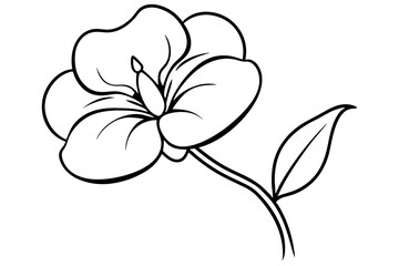 sweet pea flower line art silhouette vector illustration