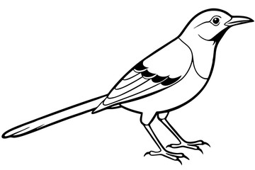 thrush line art silhouette vector illustration