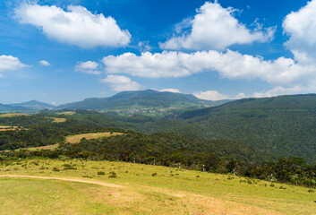  la montagne de Nuwara Elia au Srilanka