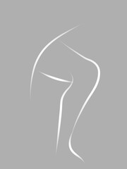 vector illustration of a human head