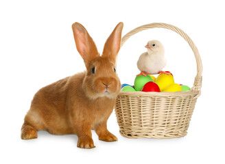 Adorable bunny near wicker basket with Easter eggs and cute chick on white background