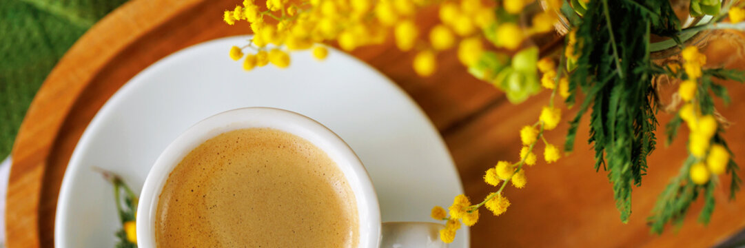 A detailed shot of a cup of coffee with a beautiful mimosa flower arrangement, capturing the essence of a warm spring morning. - Powered by Adobe