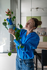 Enthusiastic middle aged woman inspects creeper Philodendron leaves at home, examining grow. Plant...