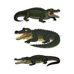 Obraz premium Crocodile and Alligator Cartoon Illustration: Wild Reptile Art