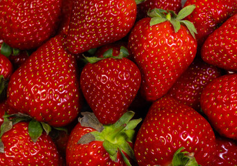Background with many fresh strawberries
