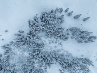 Aerial view of snow covered fir trees in mountain landscape in winter time. Cold season forest.