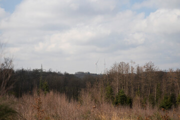 Two wind turbines loom over the horizon beyond the leafless spring forest. Green energy concept