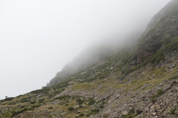 CIRCO DE TROUMOUSE. FRANCIA. EUROPA. 