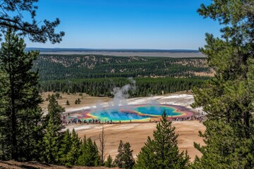 Panoramic view of a vibrant, multicolored hot spring with steam rising, surrounded by a pine forest and a vast plain under a clear blue sky