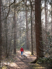 woman in red walks dog in dutch forest near utrecht in the netherlands