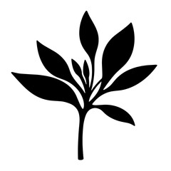 Stylized plant silhouette with leaves and buds on transparent background