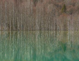 Pollution and water contamination of the copper mine exploitation in Geamana, near Rosia Montana,...