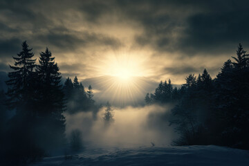 Fototapeta premium Sun shining through fog in snowy forest landscape