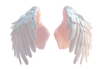 White Feathered Angel Wings on Transparent Background, PNG