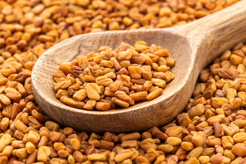 Natural aromatic fenugreek seeds in the spoon - Natural food