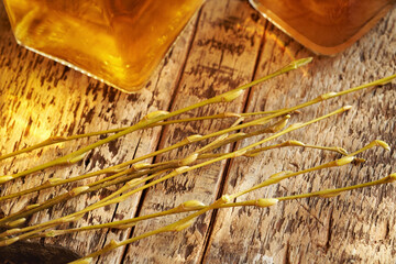 Fresh young willow branches with buds with bottles of gemmotherapeutic herbal tincture