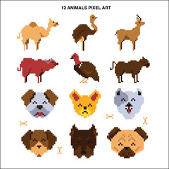 animal pixel art symbol icons vector design	