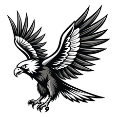 Obraz premium Exquisite Black and White Hand Drawn Eagle in Flight