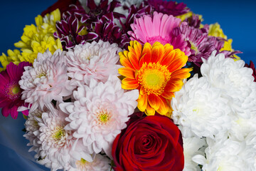 a bouquet of flowers on a blue background, presented for a holiday. Flower shop