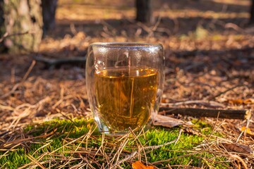 Reflection of forest landscape in transparent cup with herbal tea. Cup of tea in the forest.